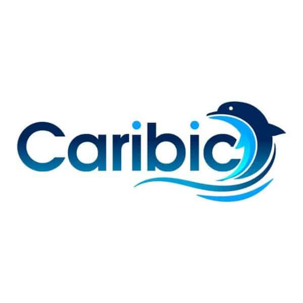 CARIBIC Pool Pool Aufrollvorrichtung CARIBIC V2A PRO Aufroller Solarfolie Poolabdeckung Solar Bis 5